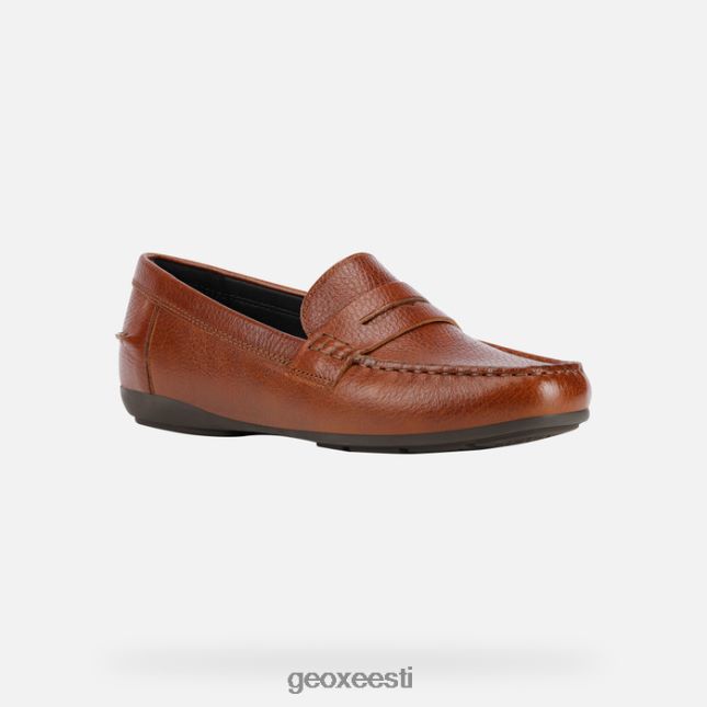 pruun ZZ2TH2464 Geox annytah moc naine
