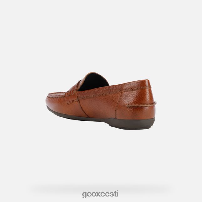pruun ZZ2TH2464 Geox annytah moc naine