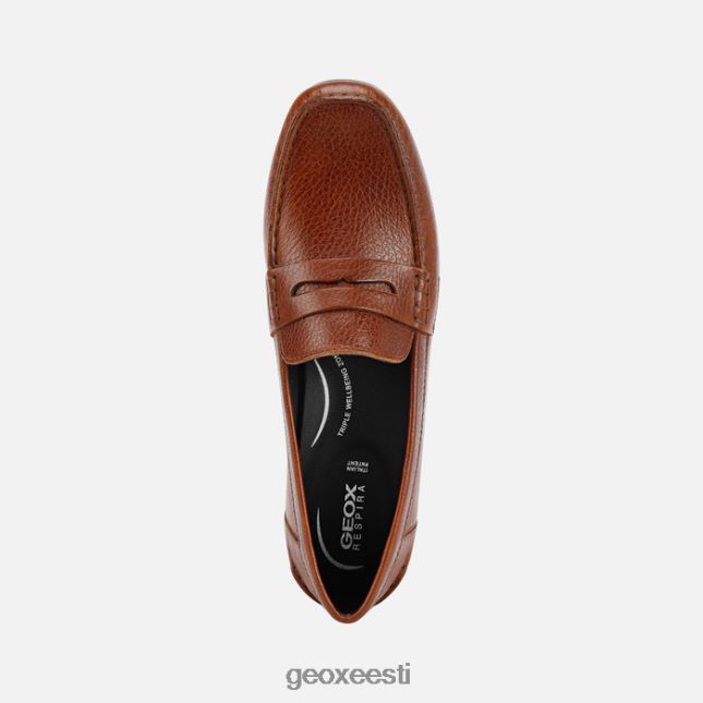 pruun ZZ2TH2464 Geox annytah moc naine