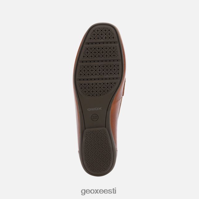 pruun ZZ2TH2464 Geox annytah moc naine