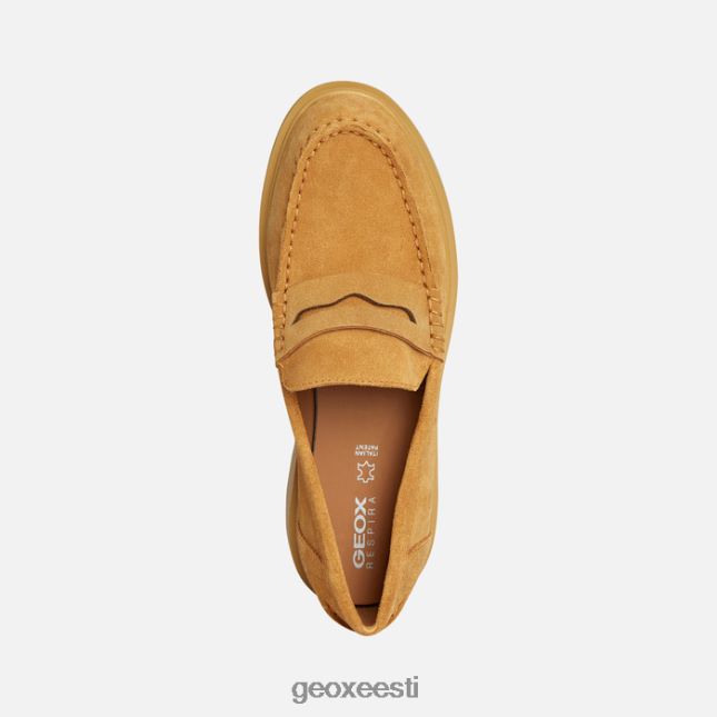 sinep ZZ2TH21665 Geox spherica ec1 naine