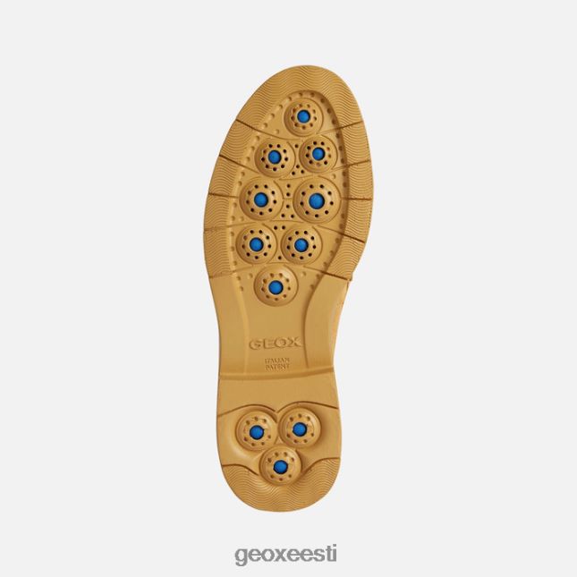 sinep ZZ2TH21665 Geox spherica ec1 naine