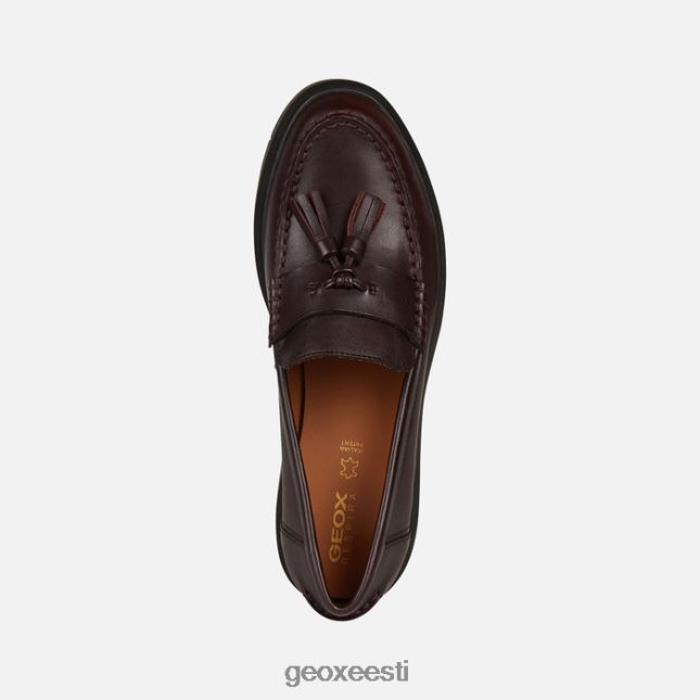 tume Burgundia ZZ2TH2441 Geox spherica ec1 naine