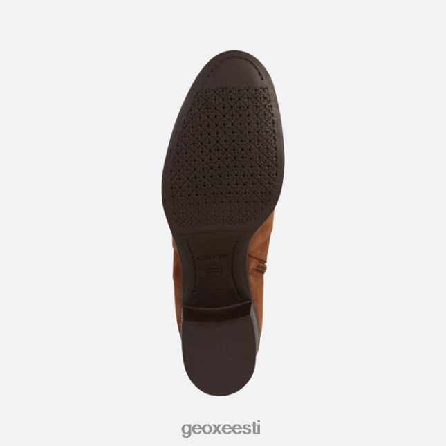 pruun ZZ2TH2346 Geox uus asheel naine