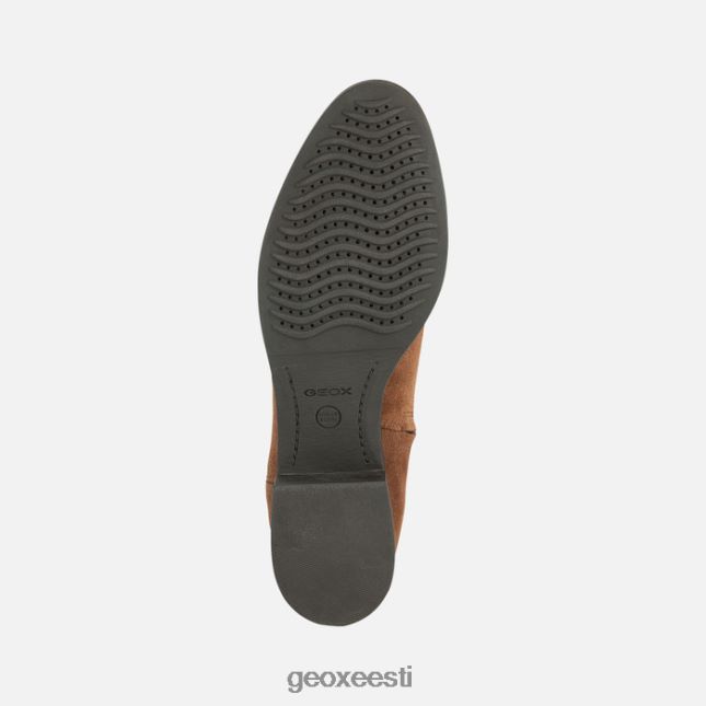 pruun ZZ2TH2463 Geox õnne abx naine