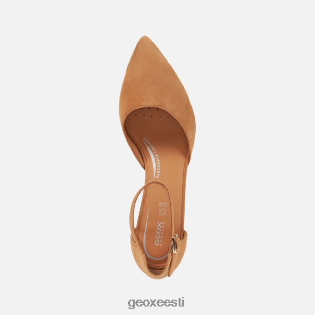 kaamel ZZ2TH2283 Geox bigliana naine