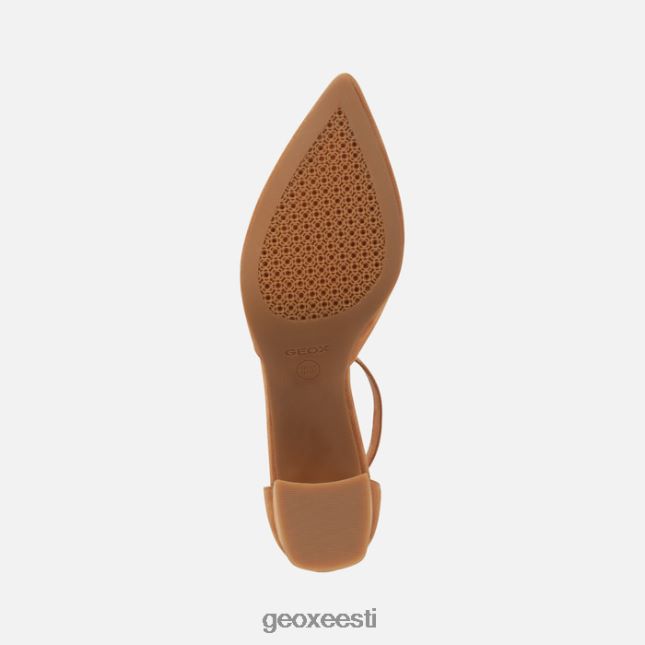 kaamel ZZ2TH2283 Geox bigliana naine
