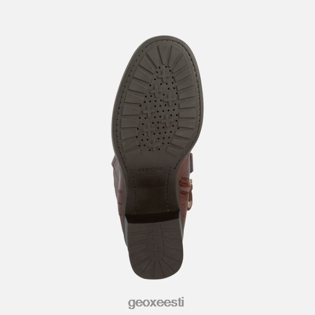 pruun ZZ2TH21725 Geox giulila naine