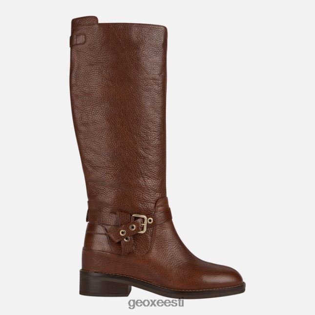 pruun ZZ2TH2309 Geox larysse naine