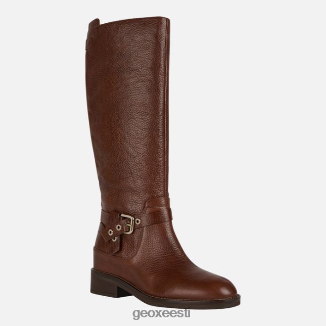 pruun ZZ2TH2309 Geox larysse naine