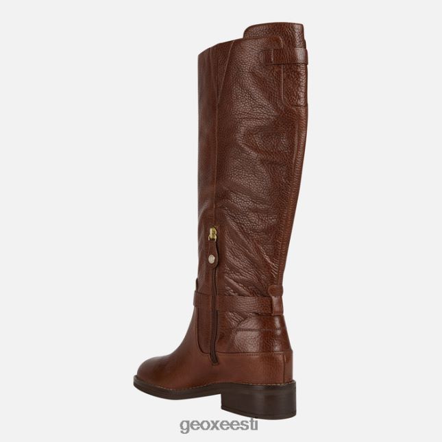 pruun ZZ2TH2309 Geox larysse naine