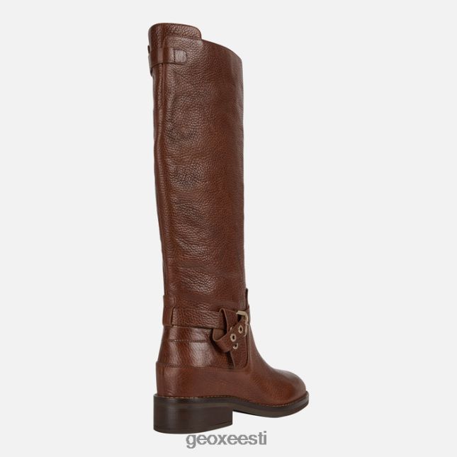 pruun ZZ2TH2309 Geox larysse naine
