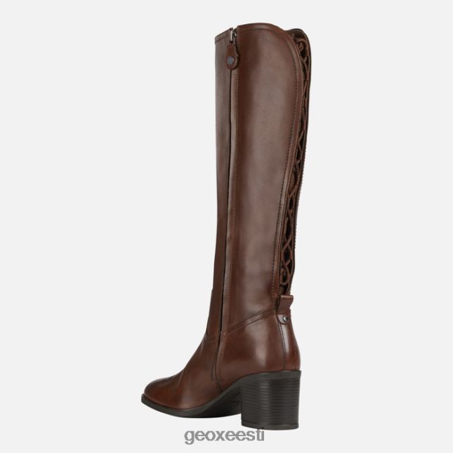 pruun ZZ2TH2607 Geox uus asheel naine