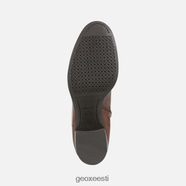 pruun ZZ2TH2607 Geox uus asheel naine