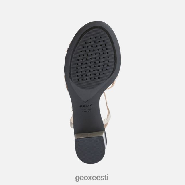 šampanja ZZ2TH2433 Geox aurely 50 naine