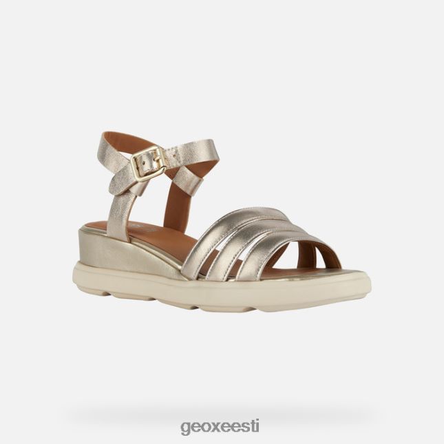 hele kuldne ZZ2TH2188 Geox pisa naine