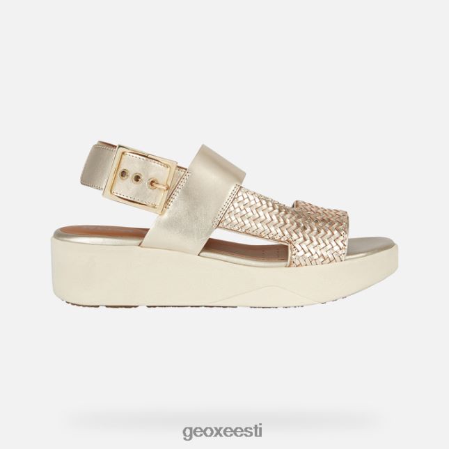 hele kuldne ZZ2TH2300 Geox laudara naine