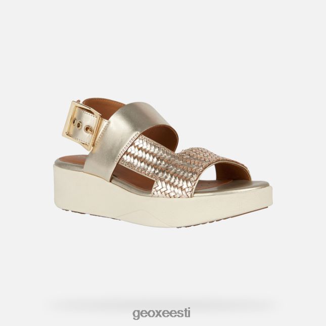 hele kuldne ZZ2TH2300 Geox laudara naine