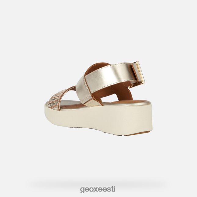 hele kuldne ZZ2TH2300 Geox laudara naine