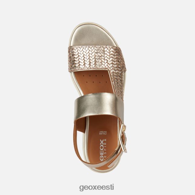 hele kuldne ZZ2TH2300 Geox laudara naine