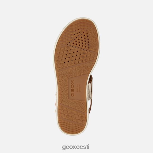hele kuldne ZZ2TH2300 Geox laudara naine