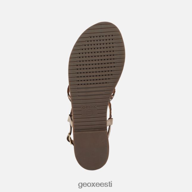 hele kuldne/must ZZ2TH2205 Geox sozy naine