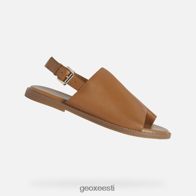 kaamel ZZ2TH2307 Geox naileen naine