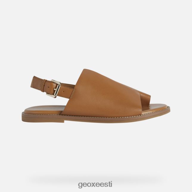 kaamel ZZ2TH2307 Geox naileen naine
