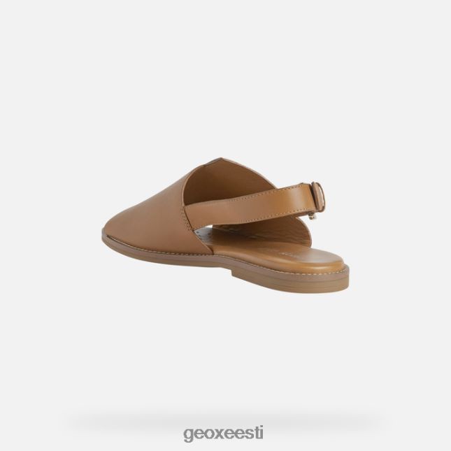 kaamel ZZ2TH2307 Geox naileen naine