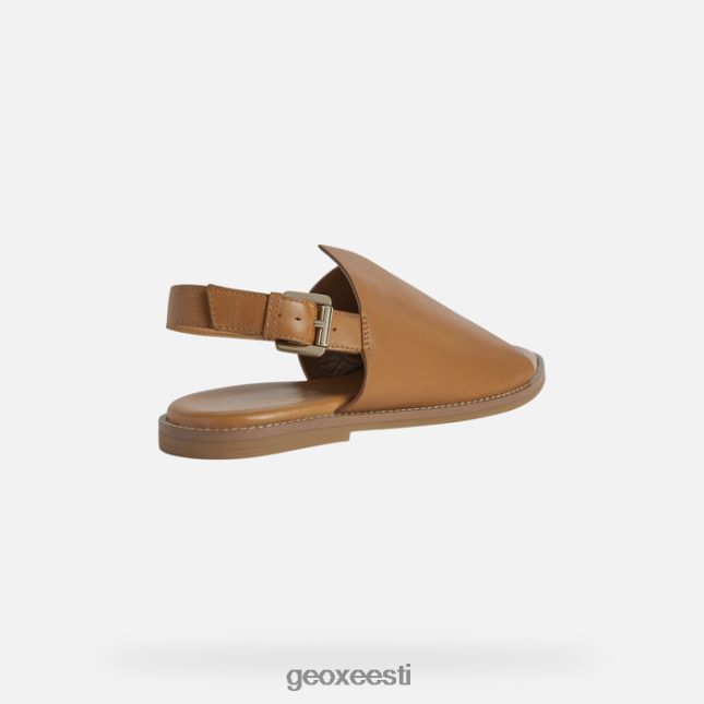 kaamel ZZ2TH2307 Geox naileen naine