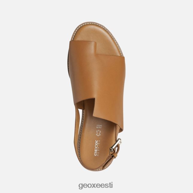 kaamel ZZ2TH2307 Geox naileen naine