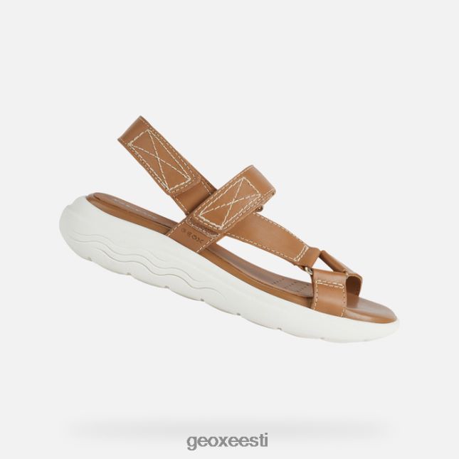 kaamel ZZ2TH238 Geox spherica ec5w naine