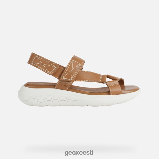 kaamel ZZ2TH238 Geox spherica ec5w naine