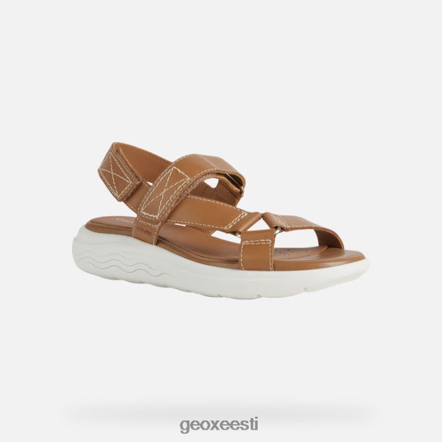 kaamel ZZ2TH238 Geox spherica ec5w naine