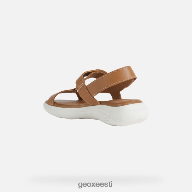 kaamel ZZ2TH238 Geox spherica ec5w naine
