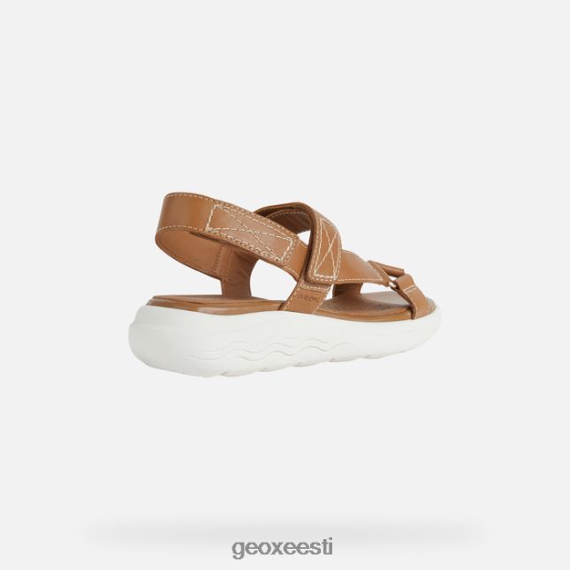 kaamel ZZ2TH238 Geox spherica ec5w naine