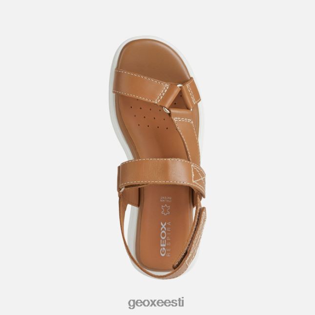kaamel ZZ2TH238 Geox spherica ec5w naine