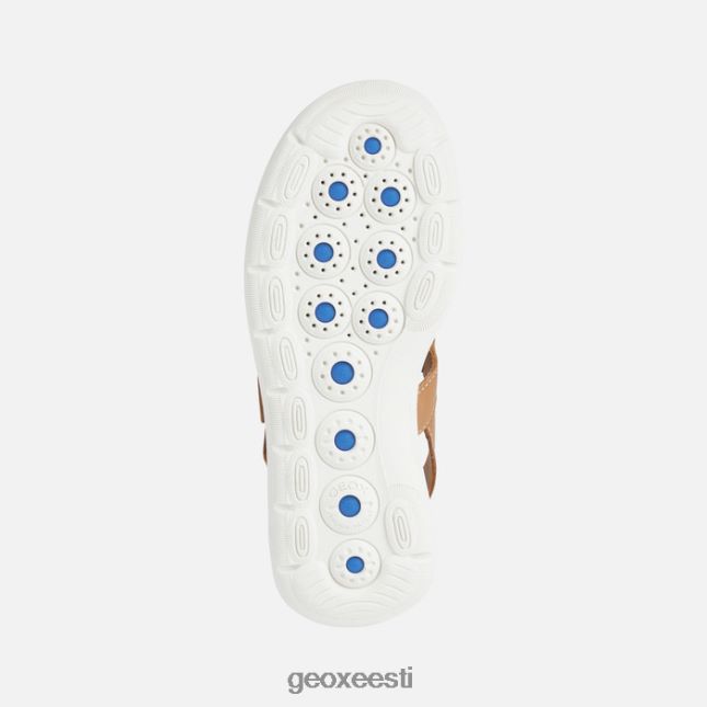 kaamel ZZ2TH238 Geox spherica ec5w naine