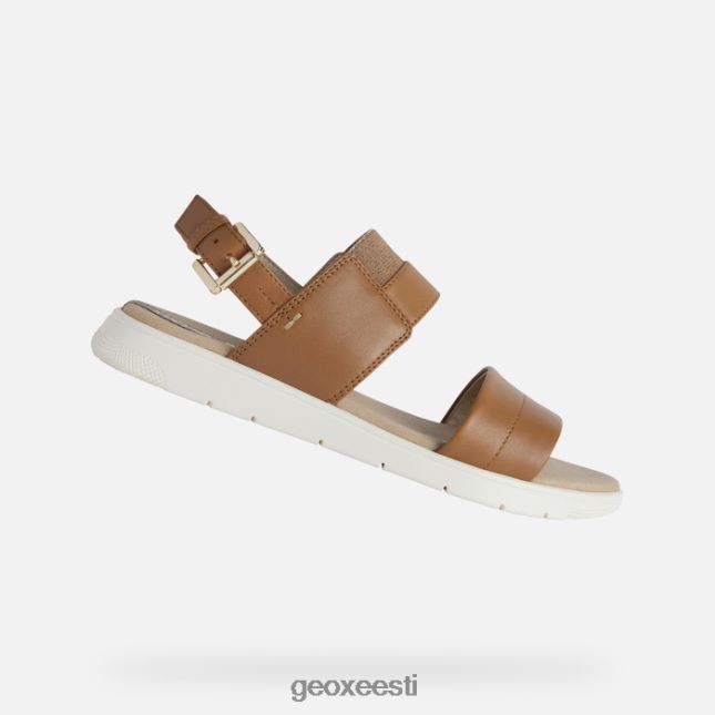 kaamel ZZ2TH2549 Geox dandra naine