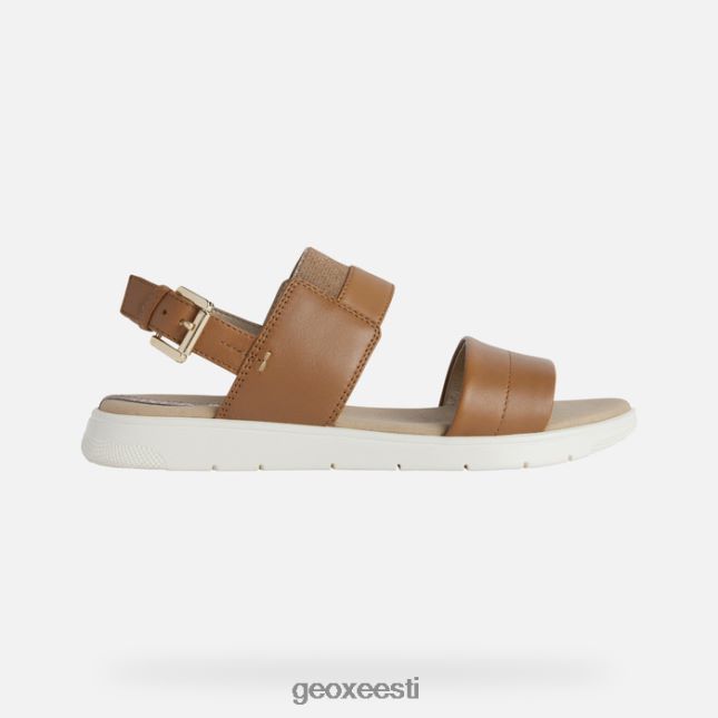 kaamel ZZ2TH2549 Geox dandra naine