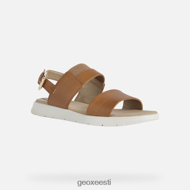 kaamel ZZ2TH2549 Geox dandra naine