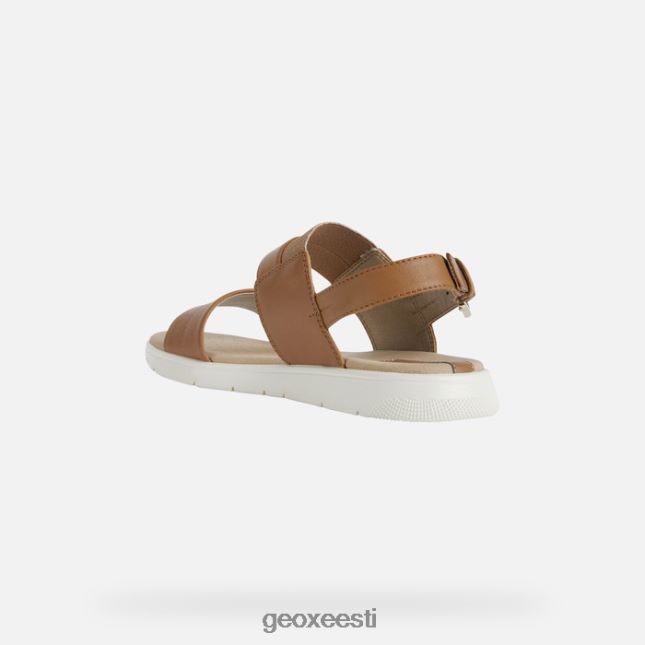 kaamel ZZ2TH2549 Geox dandra naine