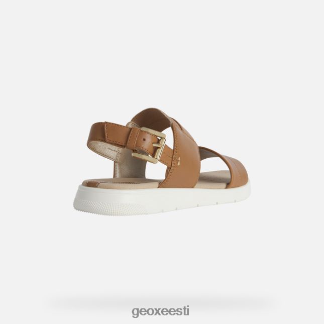 kaamel ZZ2TH2549 Geox dandra naine
