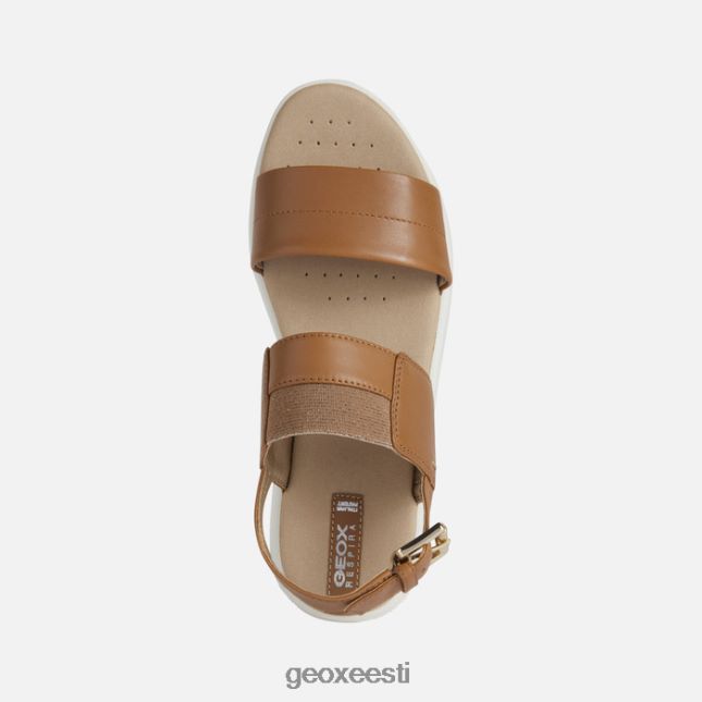 kaamel ZZ2TH2549 Geox dandra naine
