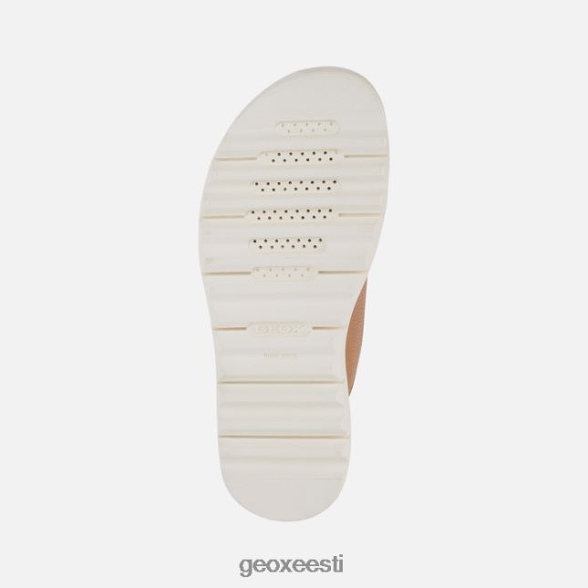 kaamel ZZ2TH2556 Geox xand 2.1s naine