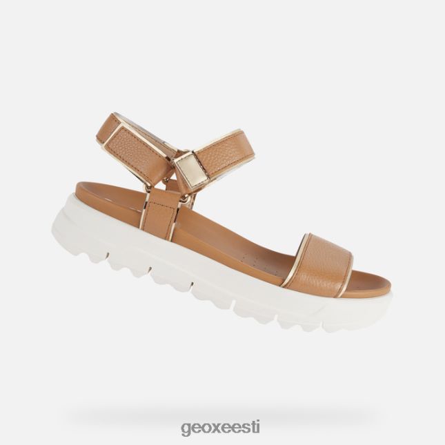 kaamel/hele kuld ZZ2TH2141 Geox xand 2.1s naine