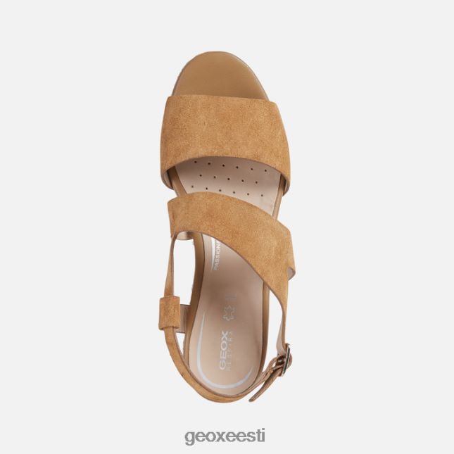 konjak ZZ2TH2534 Geox lipari naine