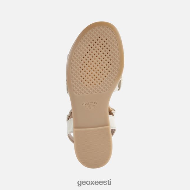 kreem ZZ2TH2434 Geox naileen naine