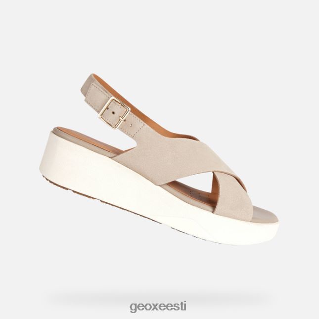 liiv ZZ2TH2130 Geox laudara naine