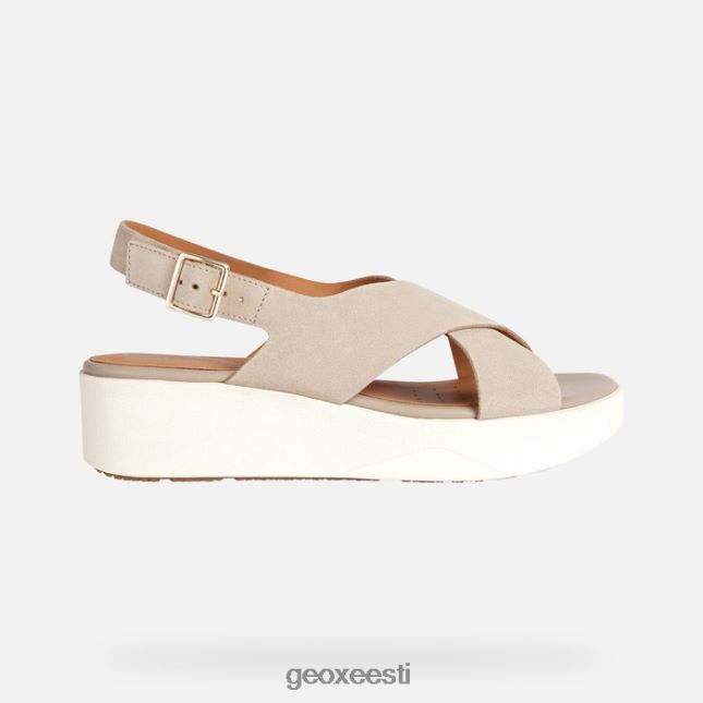 liiv ZZ2TH2130 Geox laudara naine